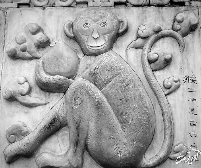 طالع بینی چینی سال میمون  علاقه متولدین میمون